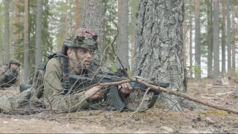🎉🌿 Finland Midsummer | Celebrating Freedom and Resilience | RCF