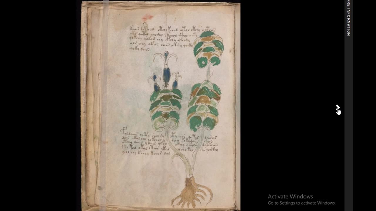 secrets of the cipher