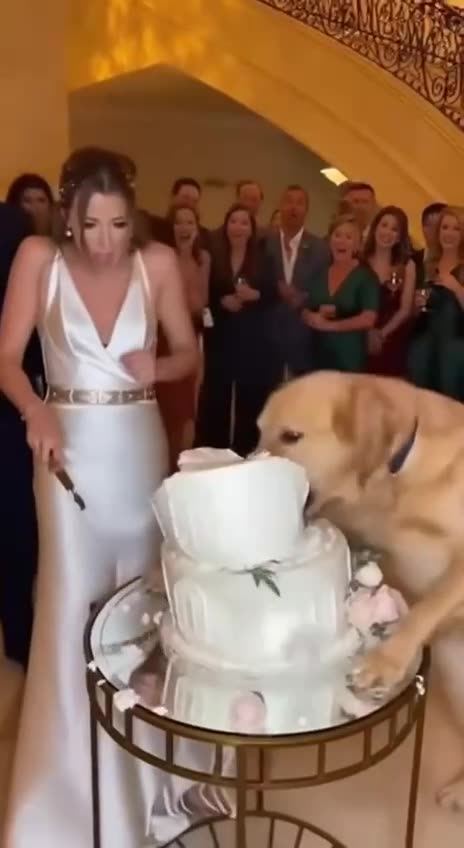 Dinner Time 😋😋