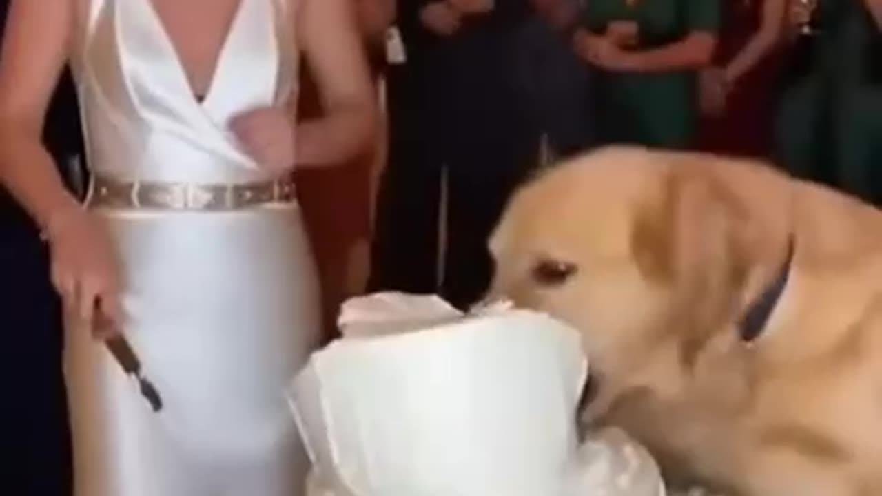 Dinner Time 😋😋