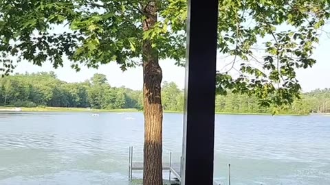 Beautiful maine