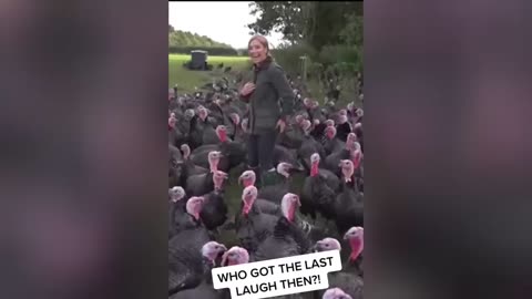 These Farm Animals Have ZERO Chill 🤣🐄