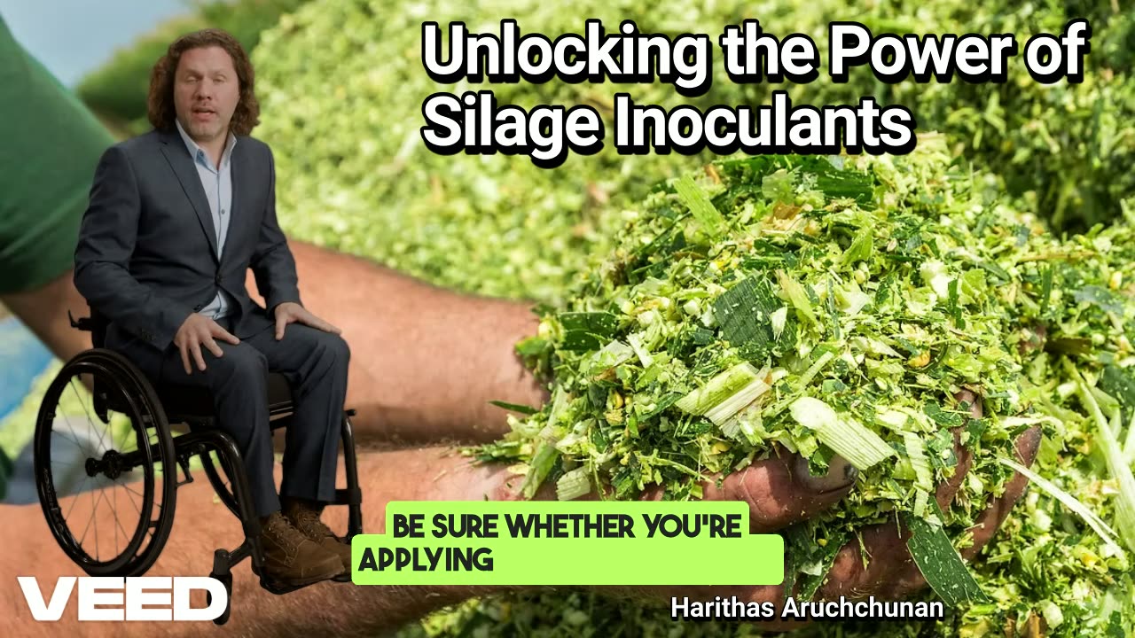Unlocking the Power of Silage Inoculants: 3 Essential CFU Checks Every Dairy Farmer Must Know