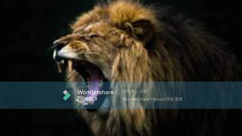 음녀의 세력들의 늪에 빠진 대한민국