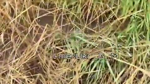 💔 RU POV: Destroyed Ukrainian YPR-765 APC on Ukraine Frontlines | RCF