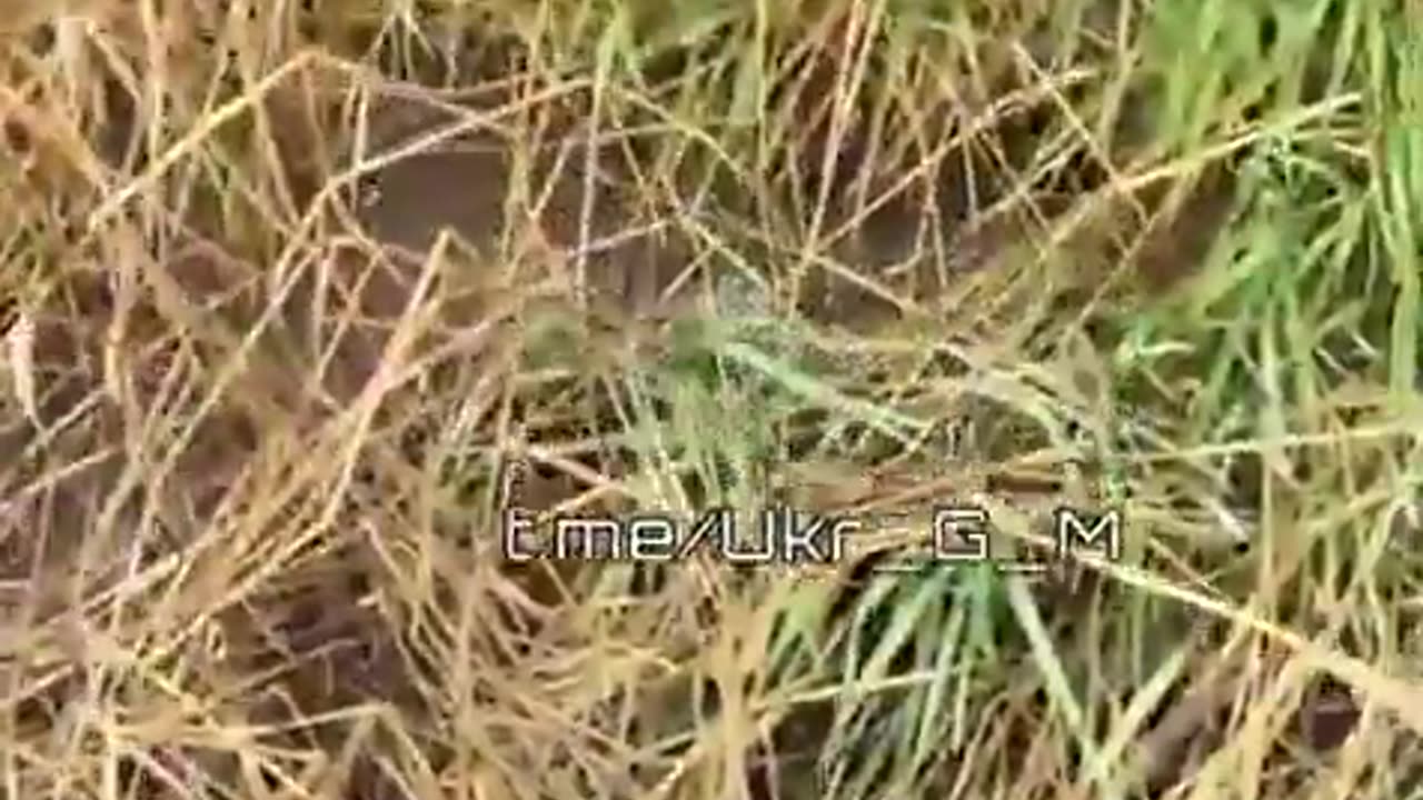 💔 RU POV: Destroyed Ukrainian YPR-765 APC on Ukraine Frontlines | RCF