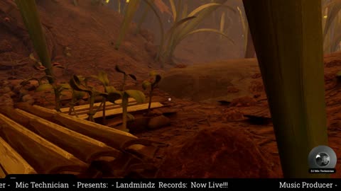 Landmindz Records Inc..