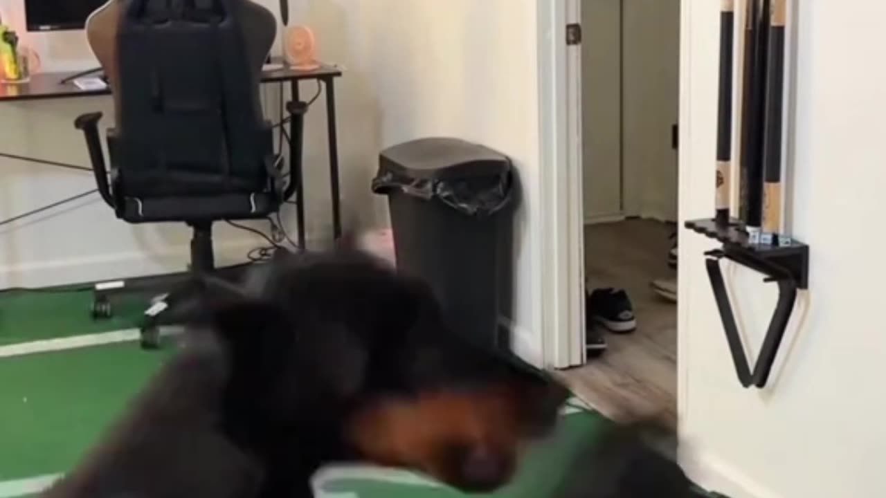 😂 “Try Not to Laugh Challenge – Impossible Edition!”