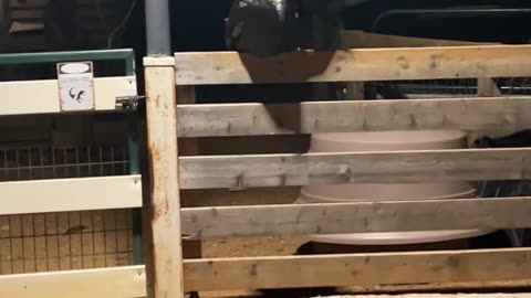 Allan is the Guardian of the Gate