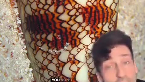 😂💀 When You Just HAVE to Say 'Oh Fuck No!' | FunFM