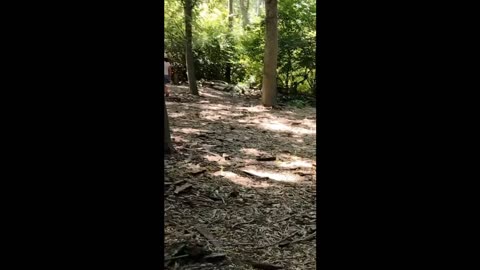 troll hunt part 1