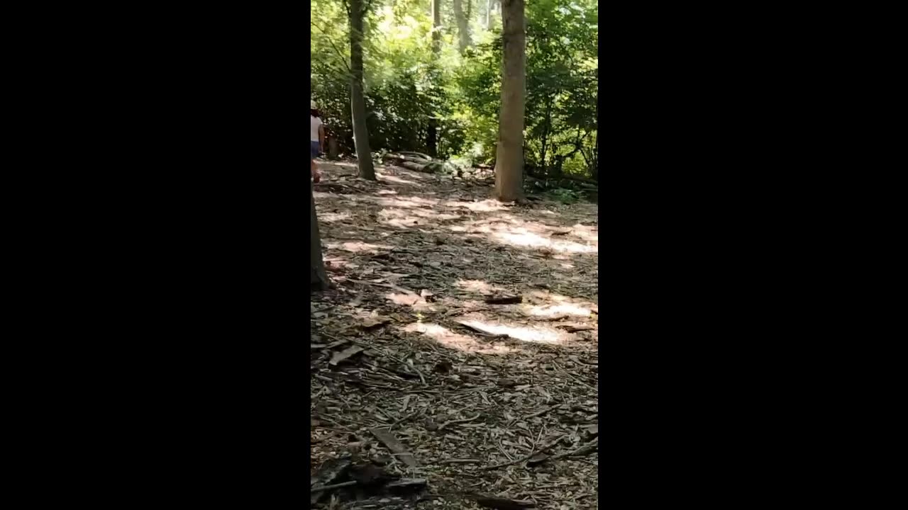 troll hunt part 1