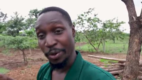 If I Can Build a Farm from Nothing, So Can You | Motivational Farming Journey