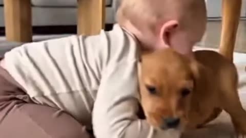 Baby love puppy