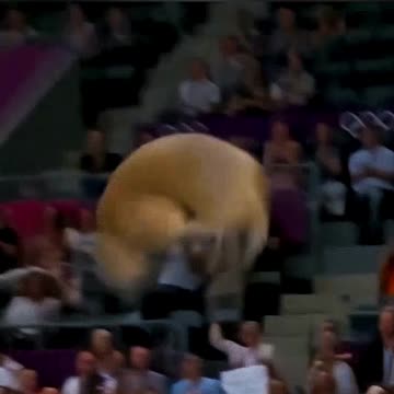 Cat vs Capybara vs Zebra vs Dog vs Penguin- Olympics Diving Challenge