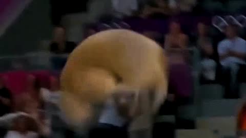 Cat vs Capybara vs Zebra vs Dog vs Penguin- Olympics Diving Challenge