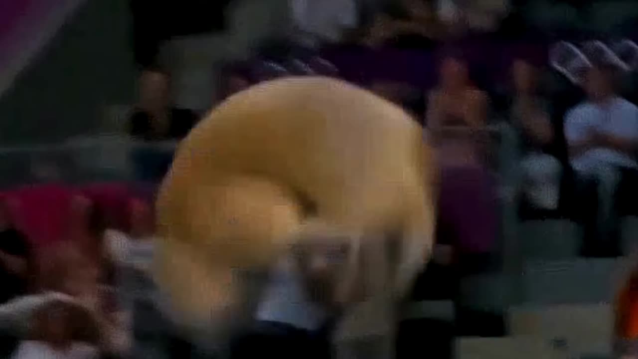 Cat vs Capybara vs Zebra vs Dog vs Penguin- Olympics Diving Challenge