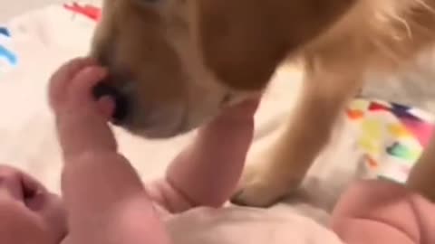 “Baby Logic Makes No Sense 😂 #relatable”