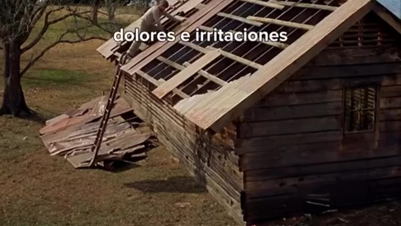 Respeta las diferencias: ahí está el valor de amar.