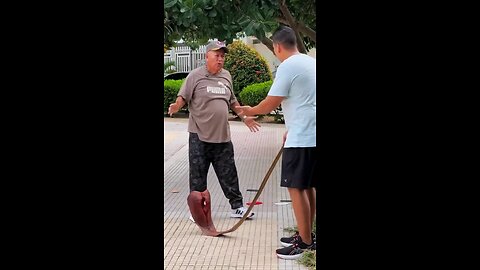 Snake 🐍 Prank #funny #rumble #prank