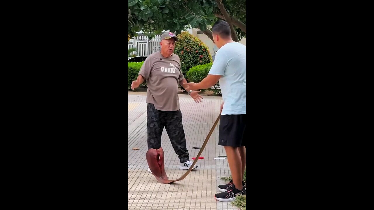 Snake 🐍 Prank #funny #rumble #prank