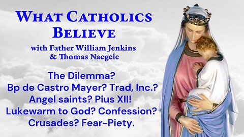 The Dilemma? Bp de Castro Mayer? Trad, Inc.? Angel saints? Pius XII! Lukewarm? Confession? Crusades?