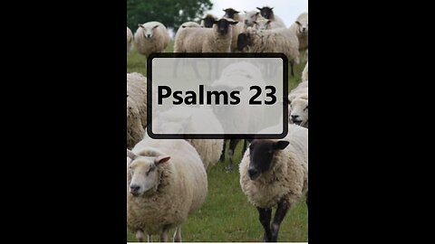 Psalms 23 (song)