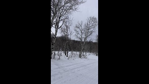 Snowy mountains