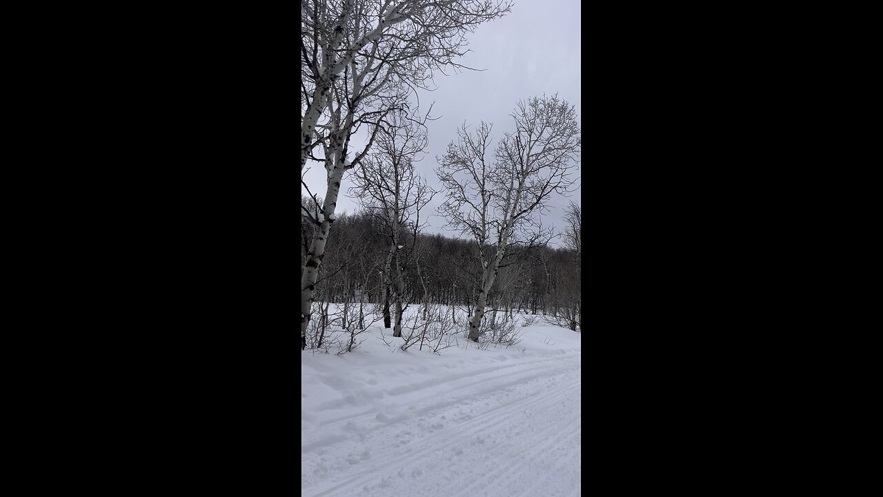 Snowy mountains