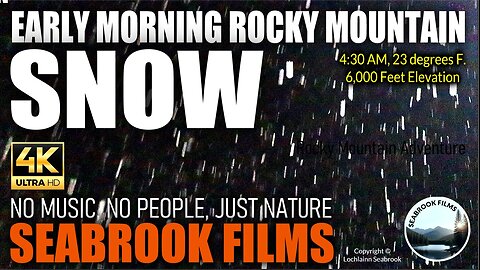 Early Morning Rocky Mountain Snow