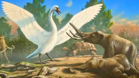 The Land Where Birds Outgrew Elephants