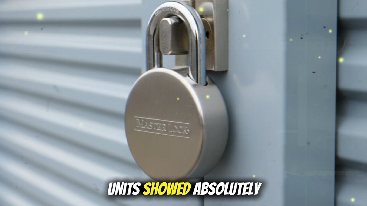 The Disappearing Package at Redwood Storage: A True American Mystery