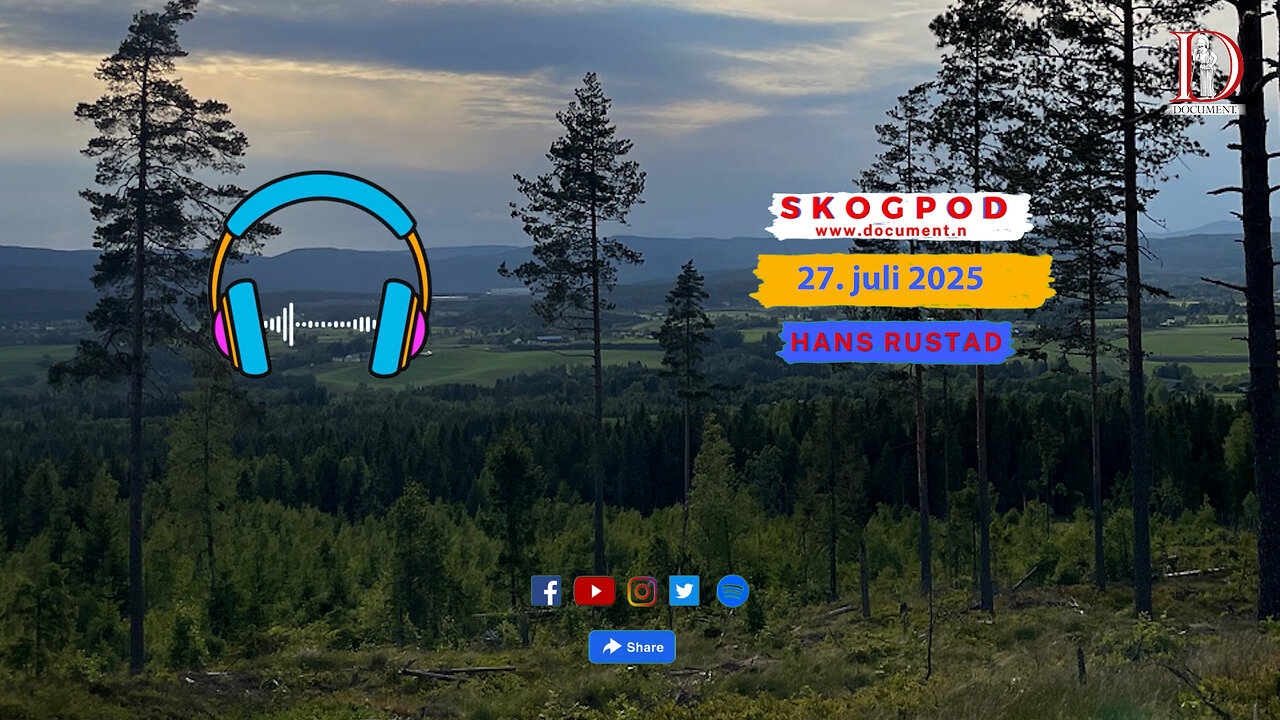 Skogpod 27. juli 2025