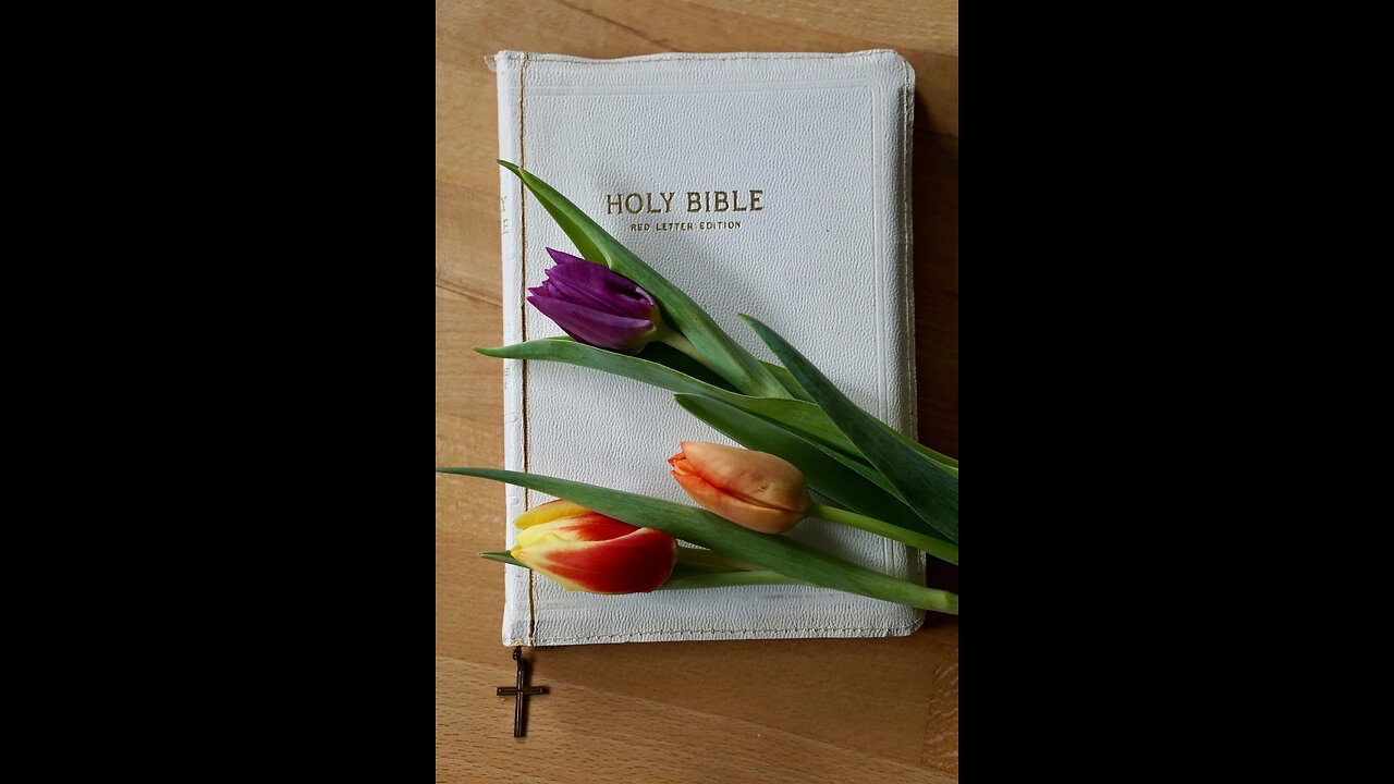 BereShiyth chapter 50