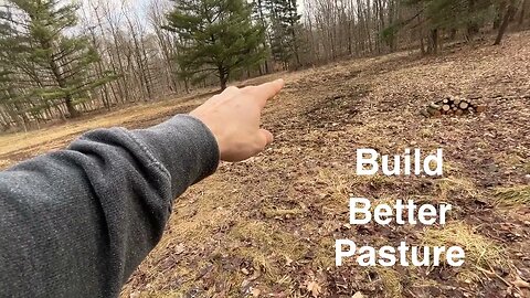 Frost Seeding Our Run-Down Pasture | Farming without a Tractor