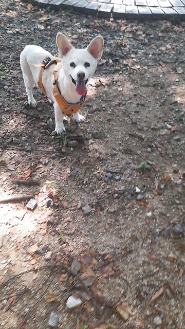 20250818. Remember Jesus Christ.