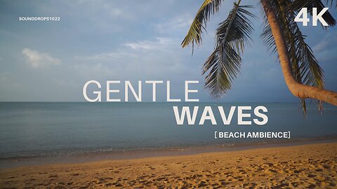 Gentle Waves & Seagulls – 10-Minute Beach Ambience
