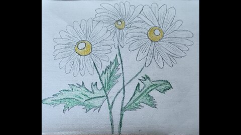 MARGHERIT - MARGARITA - MARGUERITE