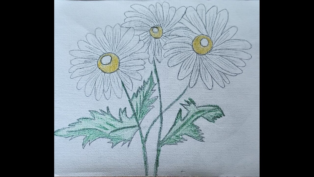MARGHERIT - MARGARITA - MARGUERITE