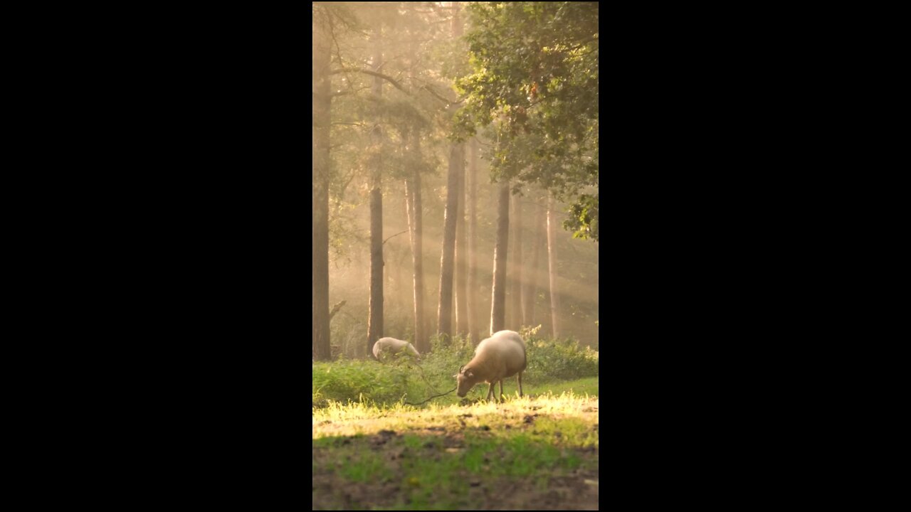 Daily Verse May 1st 2025