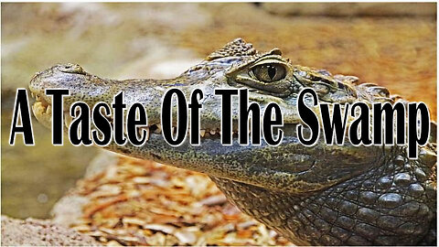 The Rant - EP 313 - A Taste Of The Swamp