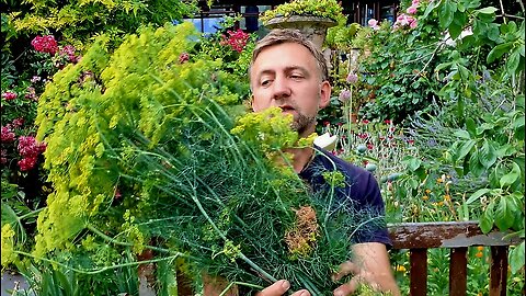 A day in the garden, crop rotation. Transform Your Garden This Weekend! Planting for Success.