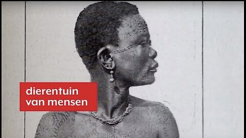 Mensen dierentuin!!!! Niet normaal