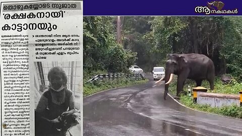 വൃദ്ധയായ അമ്മയും മകളും കാട്ടിൽ ചെന്ന് പെട്ടത് ഒറ്റയാന്റെ മുൻപിൽ _ Wild elephant help in wayanad