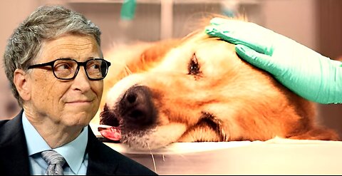Bill Gates przyłapany na domieszkowaniu szczepionek dla zwierząt domowych lekami depopulacyjnymi