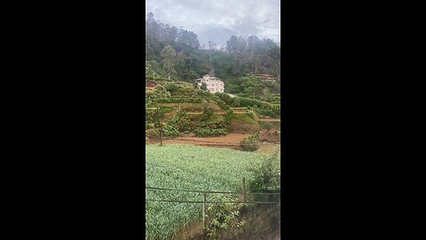 Srilanka farm