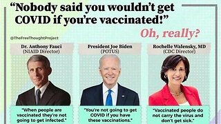 'COVID vaccine has worst side effects ever': Dr Rogers jaw-dropping claim at Senate hearing