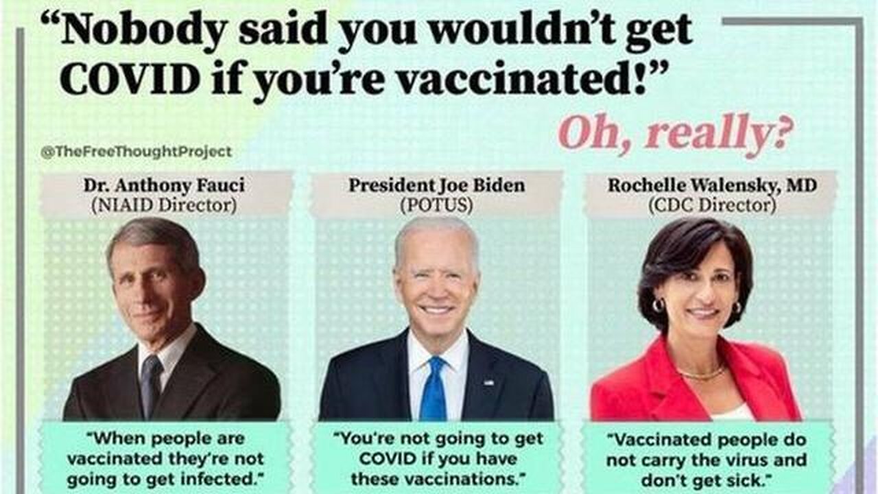 'COVID vaccine has worst side effects ever': Dr Rogers jaw-dropping claim at Senate hearing