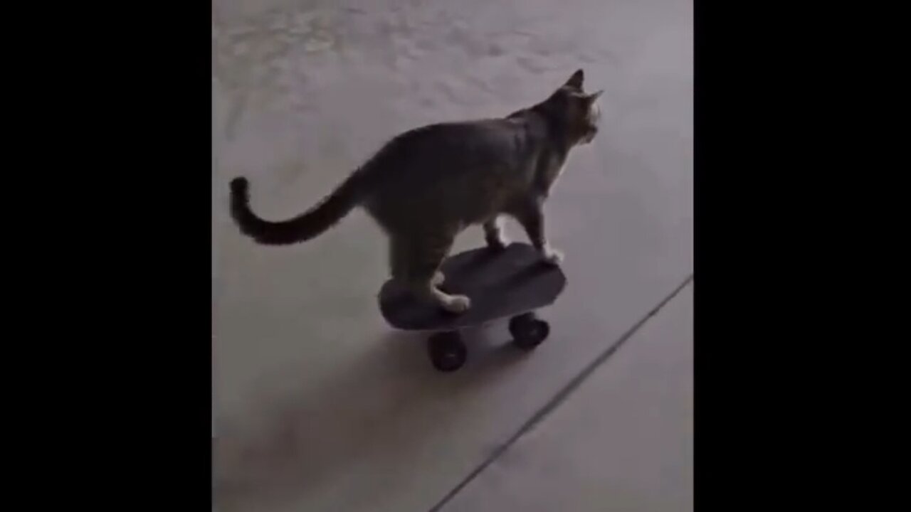 It's Friday Nite. . . .Enjoy!