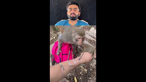 Bahar k mulk k bandar bhi trained hyn 🙂🫡